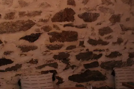 Tout Au Comptoir (TAC) - Bar Restaurant