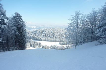 L'auberge De La Praille