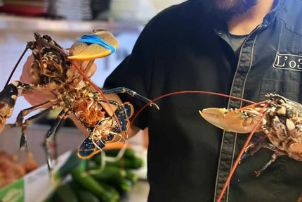 L'o3 - Restaurant Castries