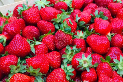 L'o3 - Restaurant Castries