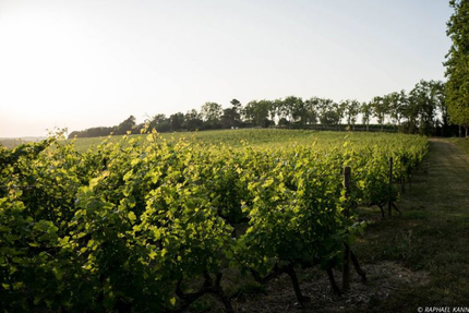 Restaurant Les Prémices