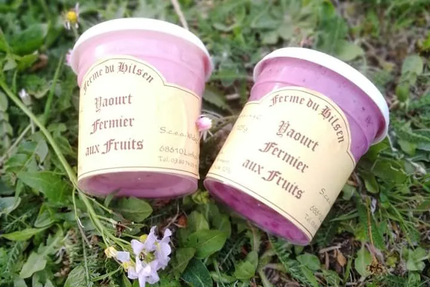 FERME AUBERGE DU HILSEN