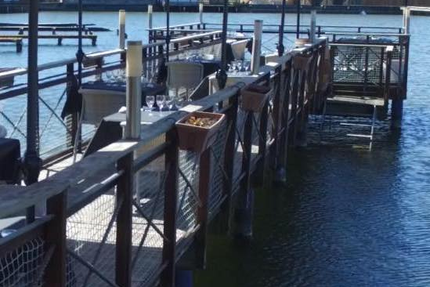 Restaurant Les Pavois Port de Larros Gujan Mestras