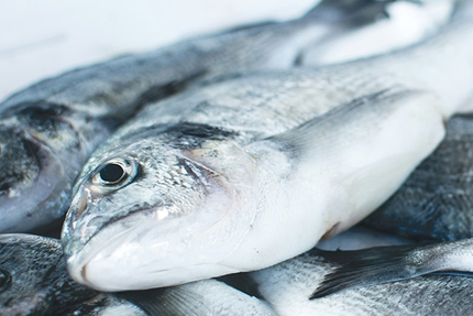 Restaurant Coquille - Erquy