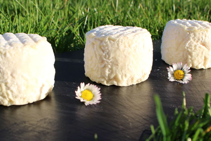 Le Comptoir de l'Emporté Champagnole