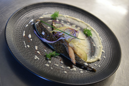 L'antre Terre et Baie