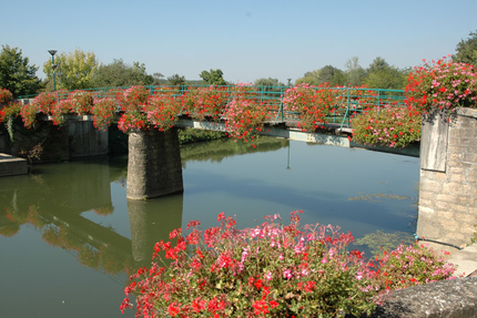 Restaurant LE RAISIN