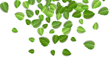 Sushi Poké 🐼🍣🥗❤️