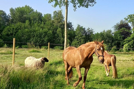 Les Viviers de Canaples