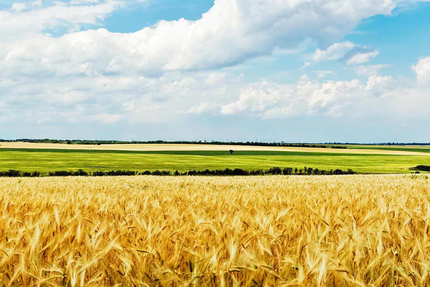 Relais Centre Europe