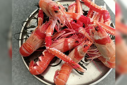 L ECAILLER DES ABERS