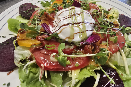 La Perlotte du Phoebus