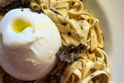 ZIA CONCETTA Chateauroux