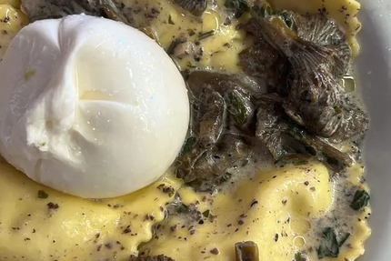 ZIA CONCETTA Chateauroux