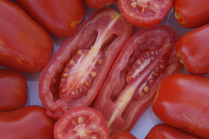 Pizzeria Chez Peppino