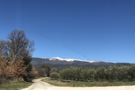 La Maison Des Chimères