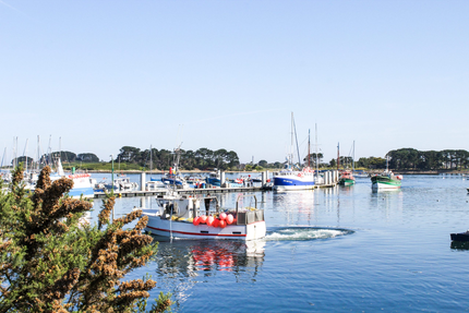 Restaurant Le Vioben, Port de l'Aber Wrac'h
