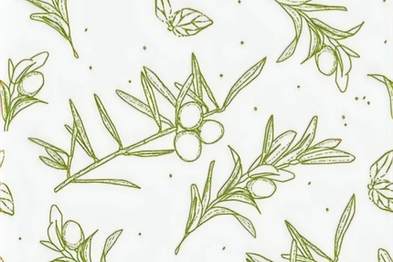 Casa Pizzas PLABENNEC