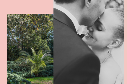 The Hollywood Restaurant