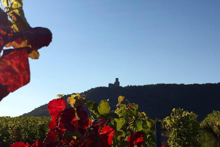 Restaurant à La Couronne