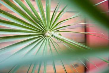La table de Guillôme à l’hôtel l’Arena