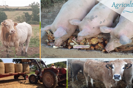 Produits Fermiers Campmas