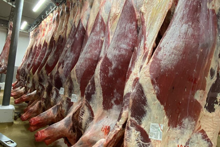 RESTAURANT LE CLOS ROMAIN