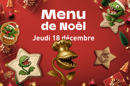 Les Tontons Grimpeurs