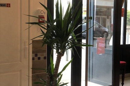 Chani | Restaurant Indien Noisy-le-Grand (93) | A emporter ou livraison