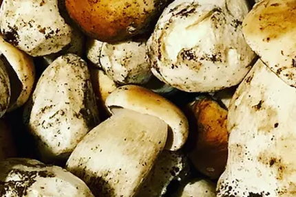 Les Arcades Bistro local