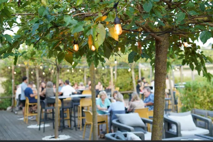 Restaurant After Fly