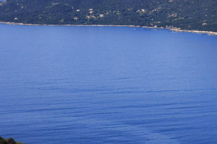 La Cave du Cardinal BAR A VIN