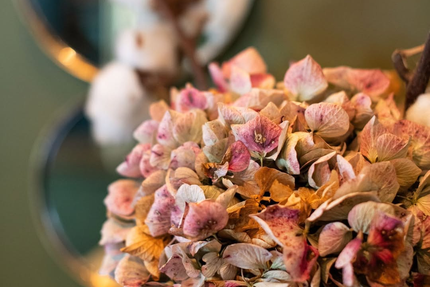 Restaurant L' Amphitryon | Hôtel Le Bœuf Couronné - Chartres |