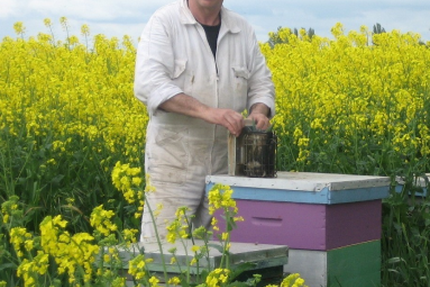 Crèperie L'hirondelle