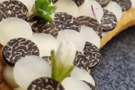 Olivia & Mickaël Féval