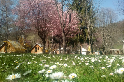 Pizzeria - Les chalets du lac Belcaire