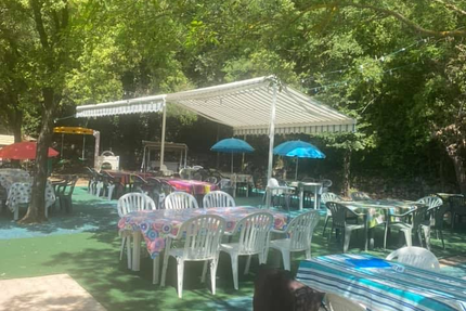 La cigale provençale. L'ecluse