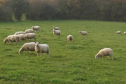 Auberge des Gourmets