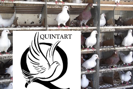 Auberge des Gourmets