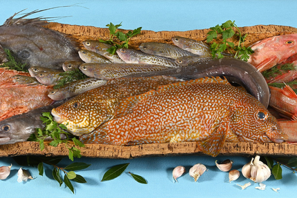 Relais des Saveurs restaurant poissons et bouillabaisse à Cavaillon