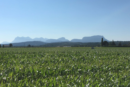 La Plaine Restaurant