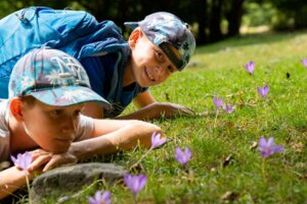 Jango - Boulangerie, Epicerie, Bar