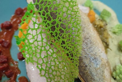 L'Art Des Choix Vercel