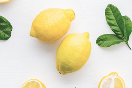 Le Garden Bar & Restaurant - Garden & City