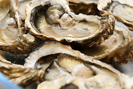 Restaurant Le Canotier