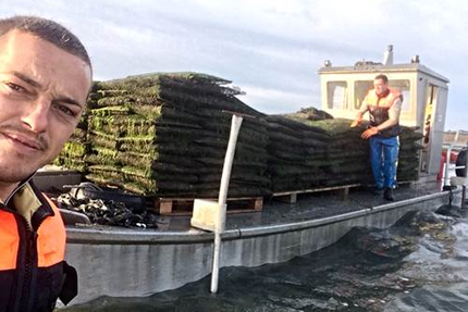 Huitres Mahé Frères