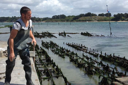 Huitres Mahé Frères