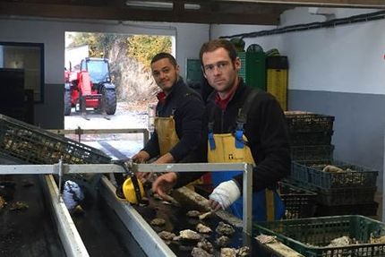 Huitres Mahé Frères