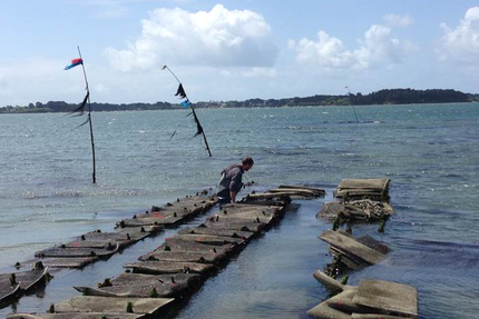 Huitres Mahé Frères