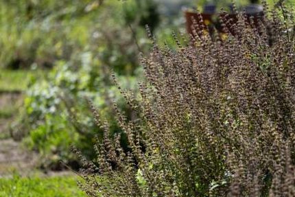 Restaurant Bistrot 1936